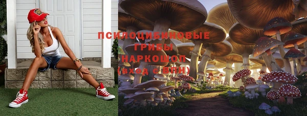 стаф Алексеевка