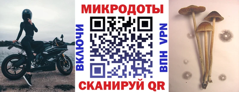 Галлюциногенные грибы Psilocybine cubensis  Брюховецкая 
