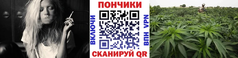 Бошки марихуана семена наркошоп Брюховецкая